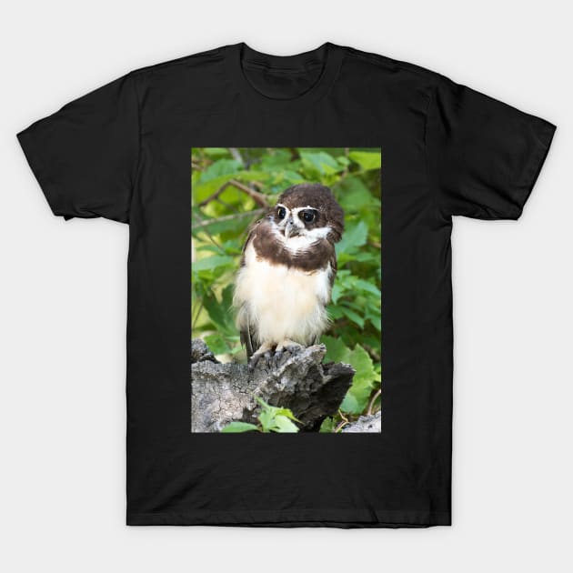 Wild but not Free T-Shirt by gdb2